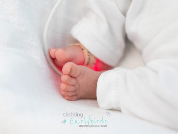 702A3488-Fotografie-Marjolijn-de-Graaf