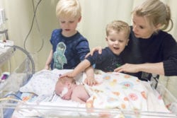 Familie van Wijk