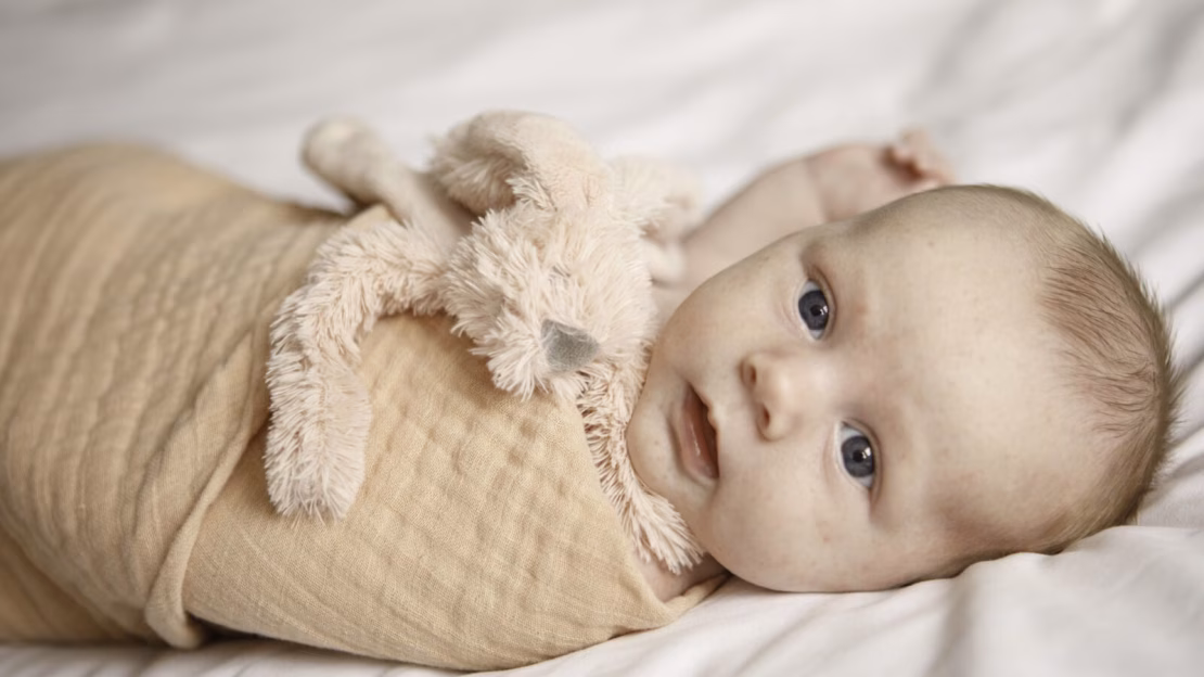 Newbornshoot Ameland.