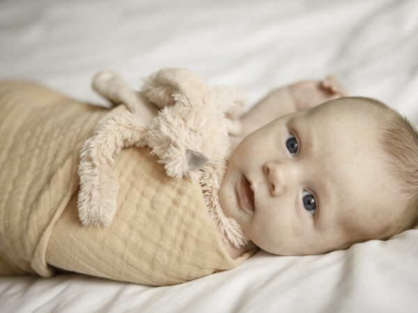 Newbornshoot Ameland.